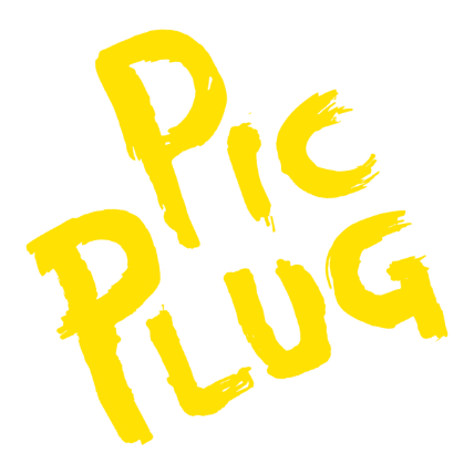Logo PicPlug420